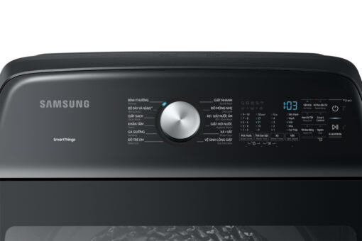 Máy giặt Samsung Inverter 21 kg WA80F21B9BSV