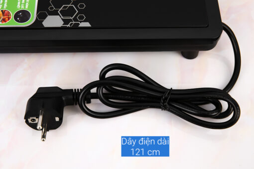 Bếp điện từ Kangaroo KG15IC1