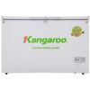 Tủ đông Kangaroo 256 lít KG398C2