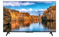 Google Tivi TCL 4K 43 inch 43P635