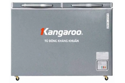 Tủ đông kháng khuẩn 252 lít KGFZ318NG2
