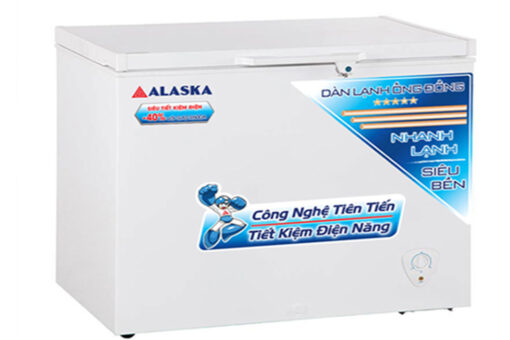 Tủ đông Alaska 300 lít BD-300C