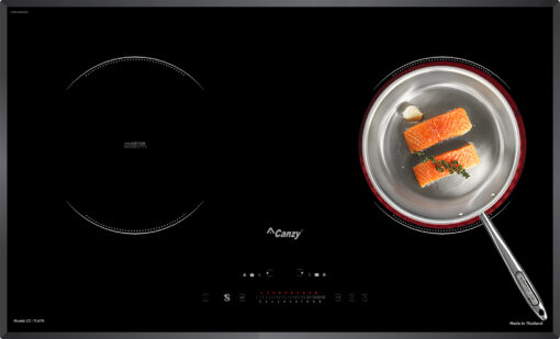 Bếp từ hồng ngoại 2 vùng nấu Canzy CZ-TL67B Inverter