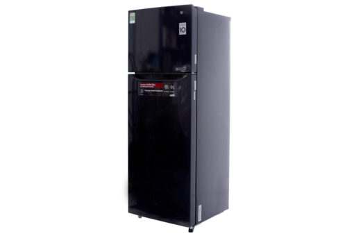 Tủ lạnh LG Inverter 315 lít GN-L315PN