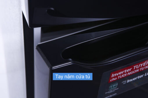 Tủ lạnh LG Inverter 315 lít GN-L315PN