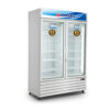 Tủ Đông Alaska 800 lít IFC-100G2