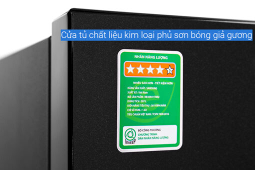 Tủ lạnh Samsung Inverter 307 lít RB30N4170BU/SV