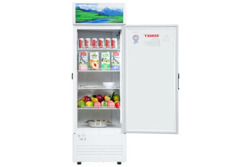 Tủ mát Sanaky Inverter 300 Lít VH-3089K3
