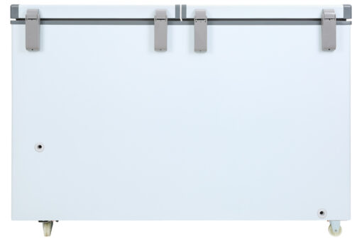 Tủ đông Darling 260 lít DMF-3999 W2