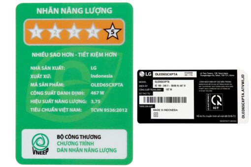 Smart Tivi OLED LG 4K 65 inch 65CXPTA