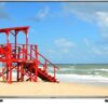 Android Tivi Panasonic 4K 55 inch 55FX650V