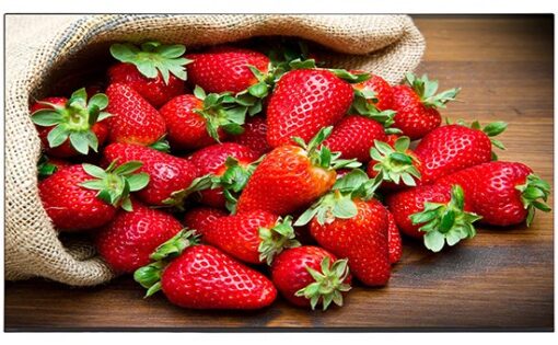 Android Tivi OLED Sony 4K 55 inch KD-55A9F