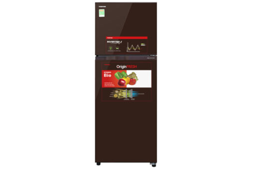 Tủ lạnh Toshiba Inverter 305 lít GR-AG36VUBZ XB1