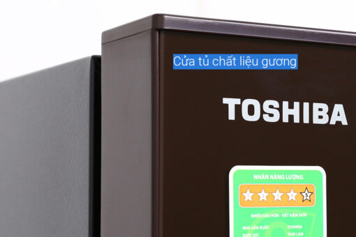 Tủ lạnh Toshiba Inverter 305 lít GR-AG36VUBZ XB1