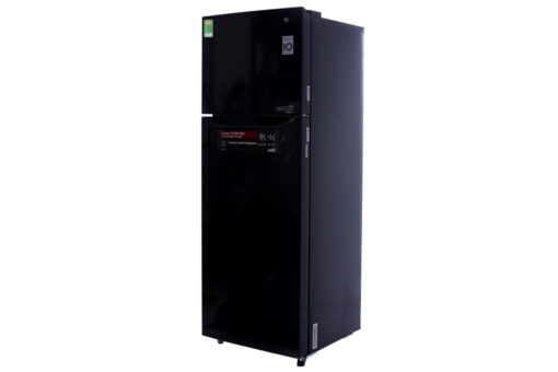 Tủ lạnh LG Inverter 208 lít GN-L208PN