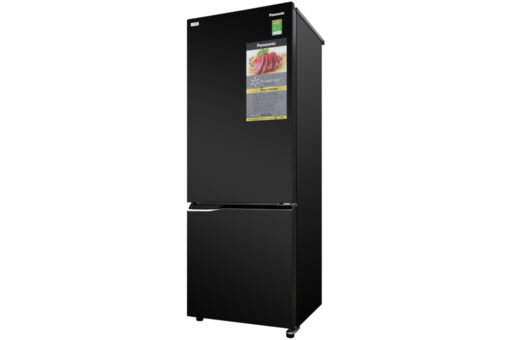 Tủ lạnh Panasonic Inverter 290 lít NR-BV329QKV2