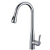 Vòi rửa 2 đường nước Roslerer RL-268