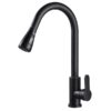 Vòi rửa 2 đường nước Roslerer RL-805 Black