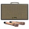 Loa xách tay Paramax Saga Cream bass 20cm 300W kèm 2 micro
