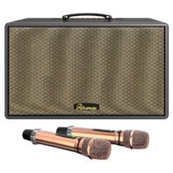 Loa xách tay Paramax Saga Black bass 20cm 300W 16kg kèm 2 micro