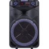 Loa Sumico SU1905 bass 40cm công Suất 150W kèm 1 micro
