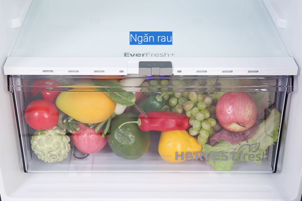 Tủ lạnh Beko Inverter 340 lít RDNT371I50VGB