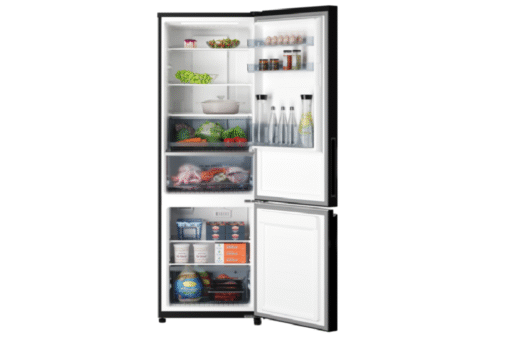 Tủ lạnh Panasonic 255 lít 2 cửa NR-SV281BPKV