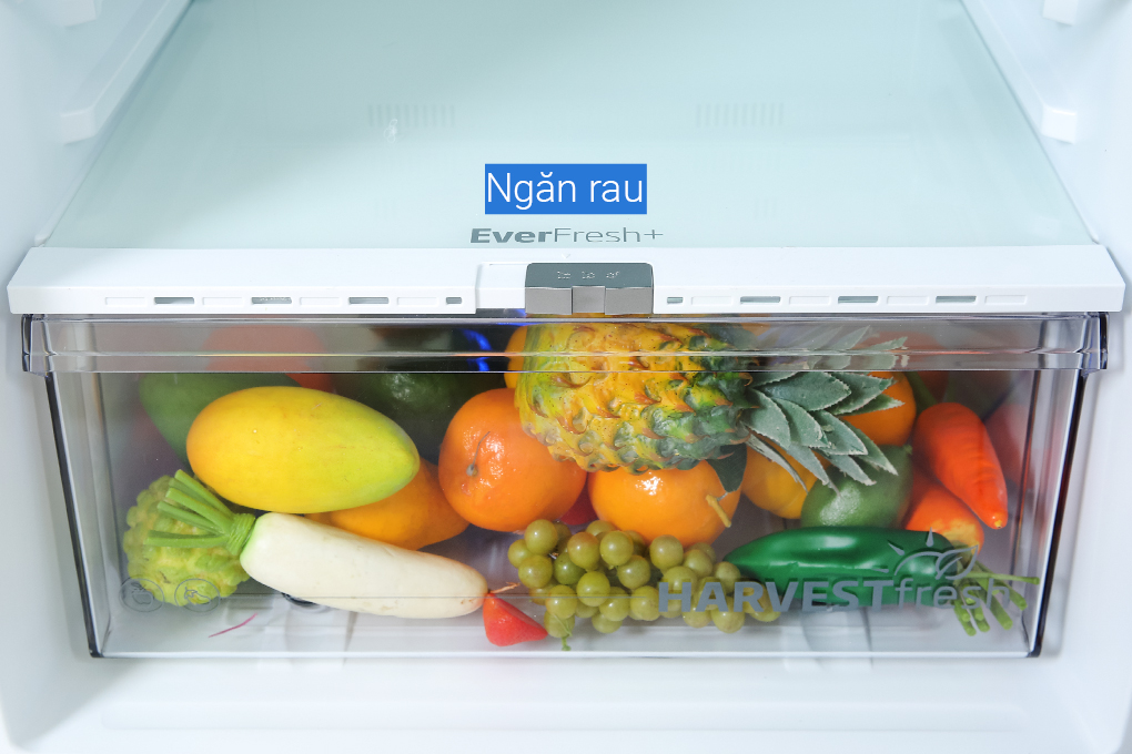 Tủ lạnh Beko Inverter 375 lít RDNT401E50VZDK