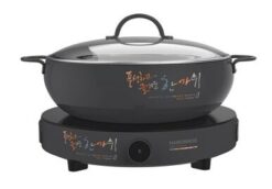 Bếp từ đơn Hawonkoo CEH-101-I-GR