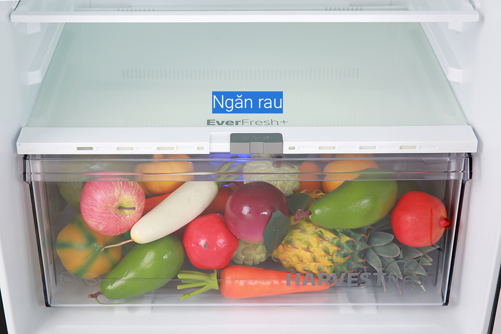 Tủ lạnh Beko Inverter 375 lít RDNT401E50VZGB