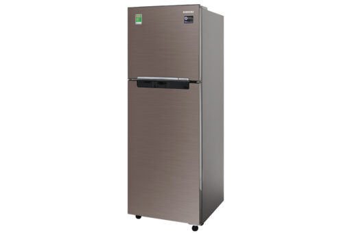 Tủ lạnh Samsung Inverter 236 lít RT22M4032DX/SV