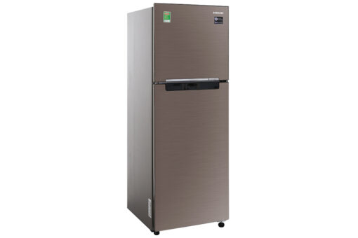 Tủ lạnh Samsung Inverter 236 lít RT22M4032DX/SV