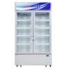 Tủ mát 960 lít Alaska SL 12C