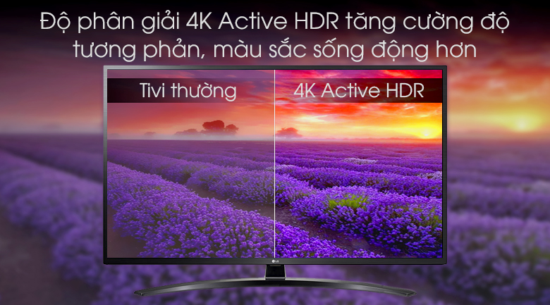 Smart Tivi LG 4K 43 inch 43UM7400PTA