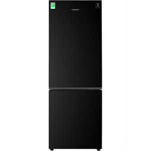 Tủ lạnh Samsung Inverter 310 lít RB30N4010BU/SV (Model 2020)