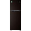Tủ lạnh Samsung Inverter 236 lít RT22M4032BY/SV
