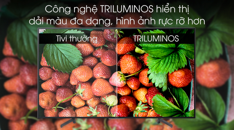 Android Tivi Sony 4K 75 inch KD-75X8000G