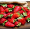 Android Tivi OLED Sony 4K 65 inch KD-65A9F