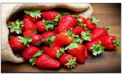 Android Tivi OLED Sony 4K 65 inch KD-65A9F