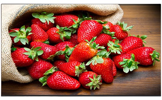 Android Tivi OLED Sony 4K 65 inch KD-65A9F