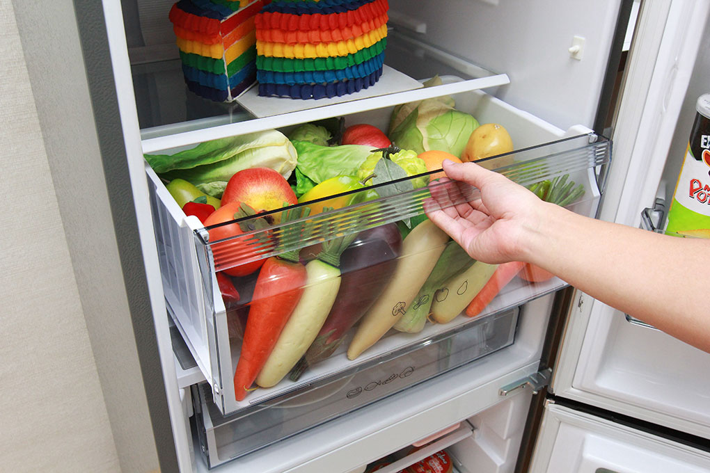 Tủ lạnh Panasonic Inverter 255 lít NR-BV288QSVN